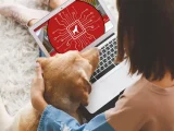 Ny AI-chattbot ska hjälpa hundägare tolka sjukdomssymptom