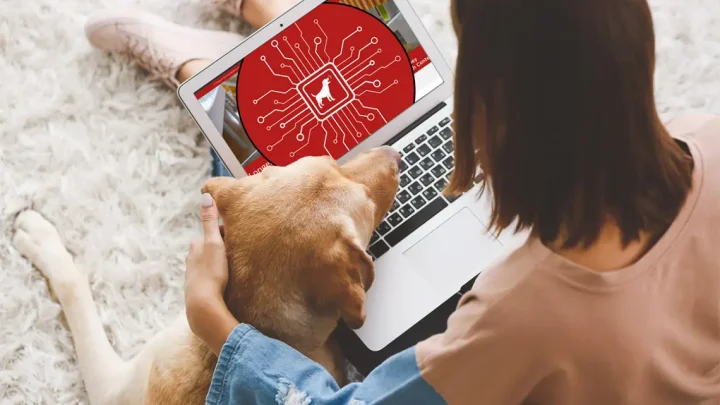 Ny AI-chattbot ska hjälpa hundägare att tolka sjukdomssymptom